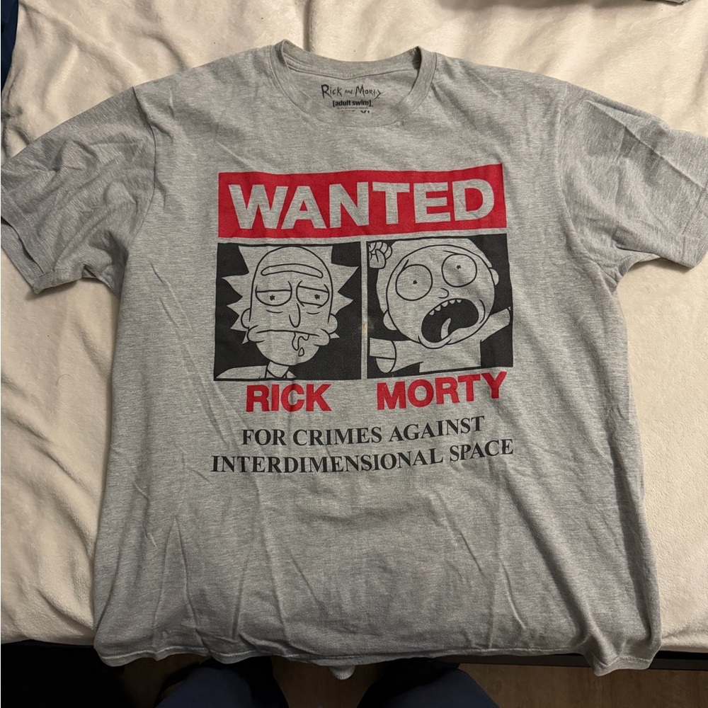 Ripple Junction Gray Rick and Morty Graphic Tee